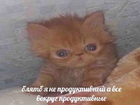 блятд я не продуктивный a bce вокруг продуктивные