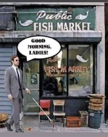MORNING, LADIES!