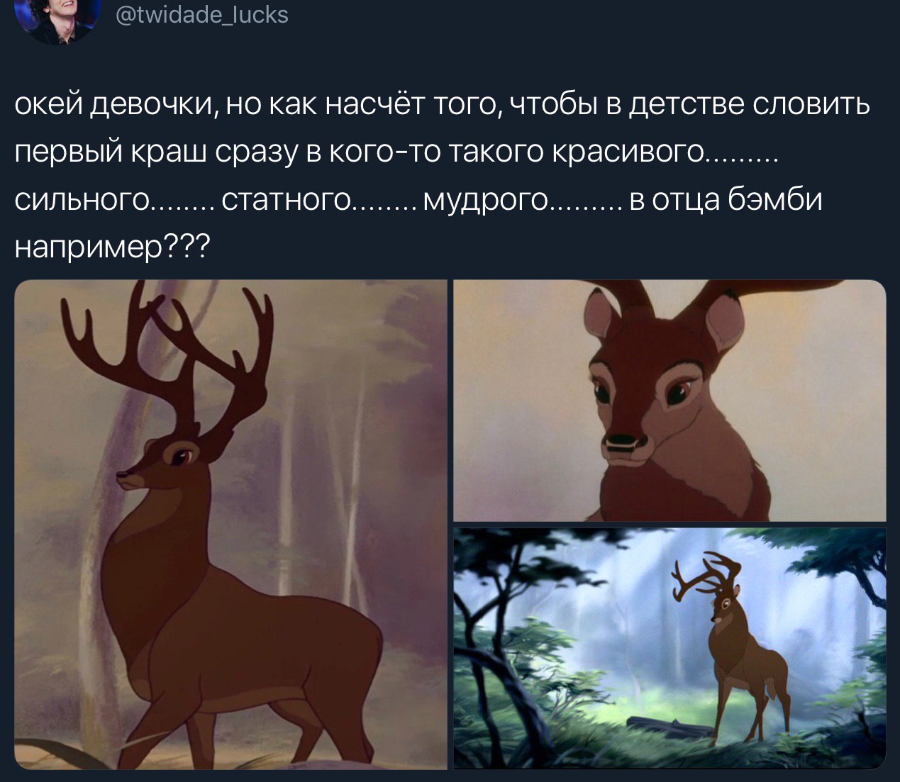 окей девочки, но как насчёт того, чтобы в детстве словить первый краш сразу в кого-то такого красивого СИЛЬНОГО статного вотца бэмби мудрого например???