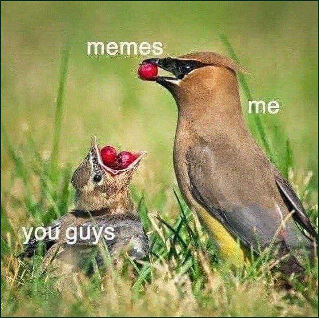 тете. Be. за. guys a
