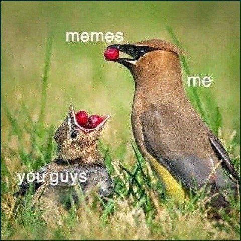 тете. Be. за. guys a