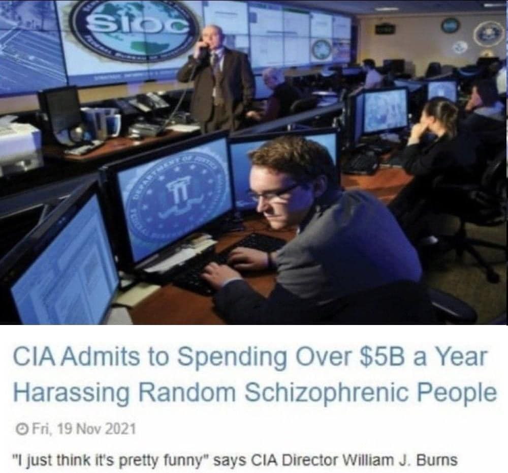 4 a, Admits to Spending Over a Year Harassing Random Schizophrenic People just think it's pretty funny” says CIA Director William Burns