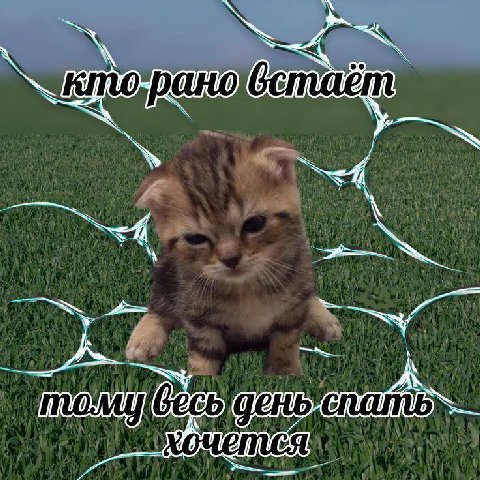 ЧЕНЬ слать