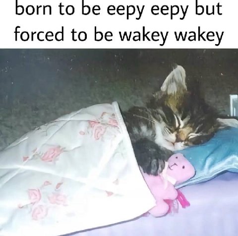 born to be eepy ееру but to be wakey wakey