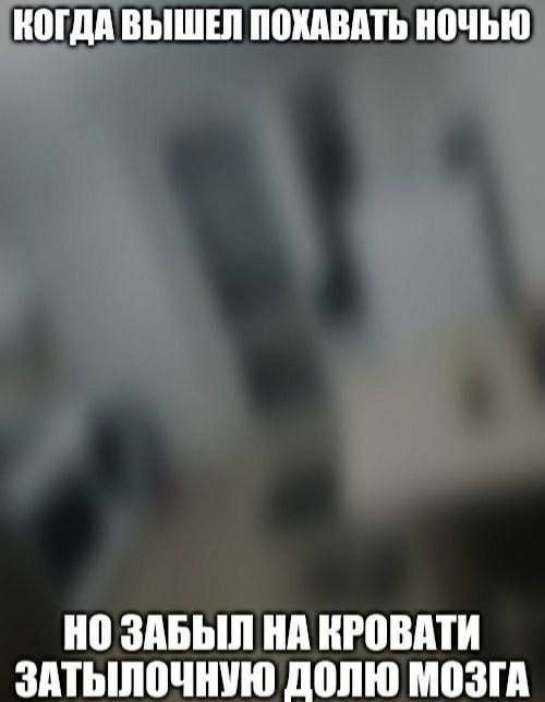 КОГДА ВЫШЕЛ ПОХАВАТЬ НОЧЬЮ НО ЗАБЫЛ НА КРОВАТИ ЗАТЫЛОЧНУЮ ДОЛЮ МОЗГА