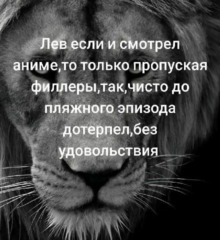 если и смотрел аниме,то только пропуская до пляжного эпизода дотёрпел,без удовольствия