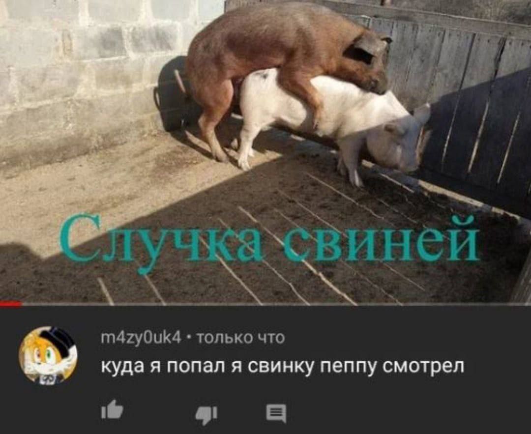 4 m4zy0uk4 только что куда я попал я свинку пеппу смотрел