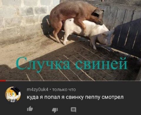 4 m4zy0uk4 только что куда я попал я свинку пеппу смотрел