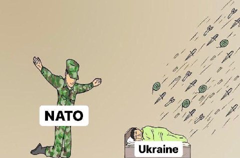7 МАТО В Ukraine