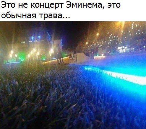 Это не концерт Эминема, это обычная трава...