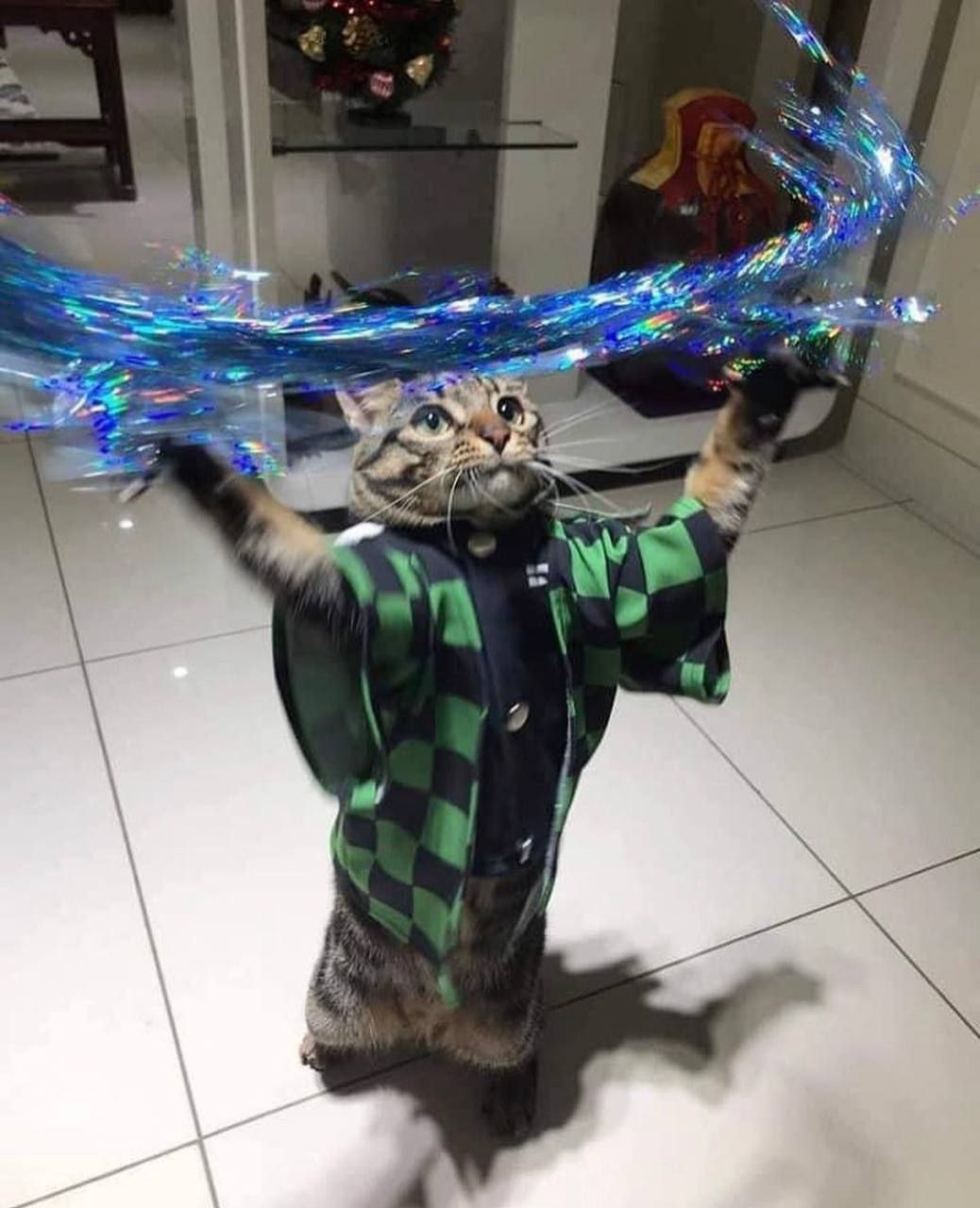 2 4 4