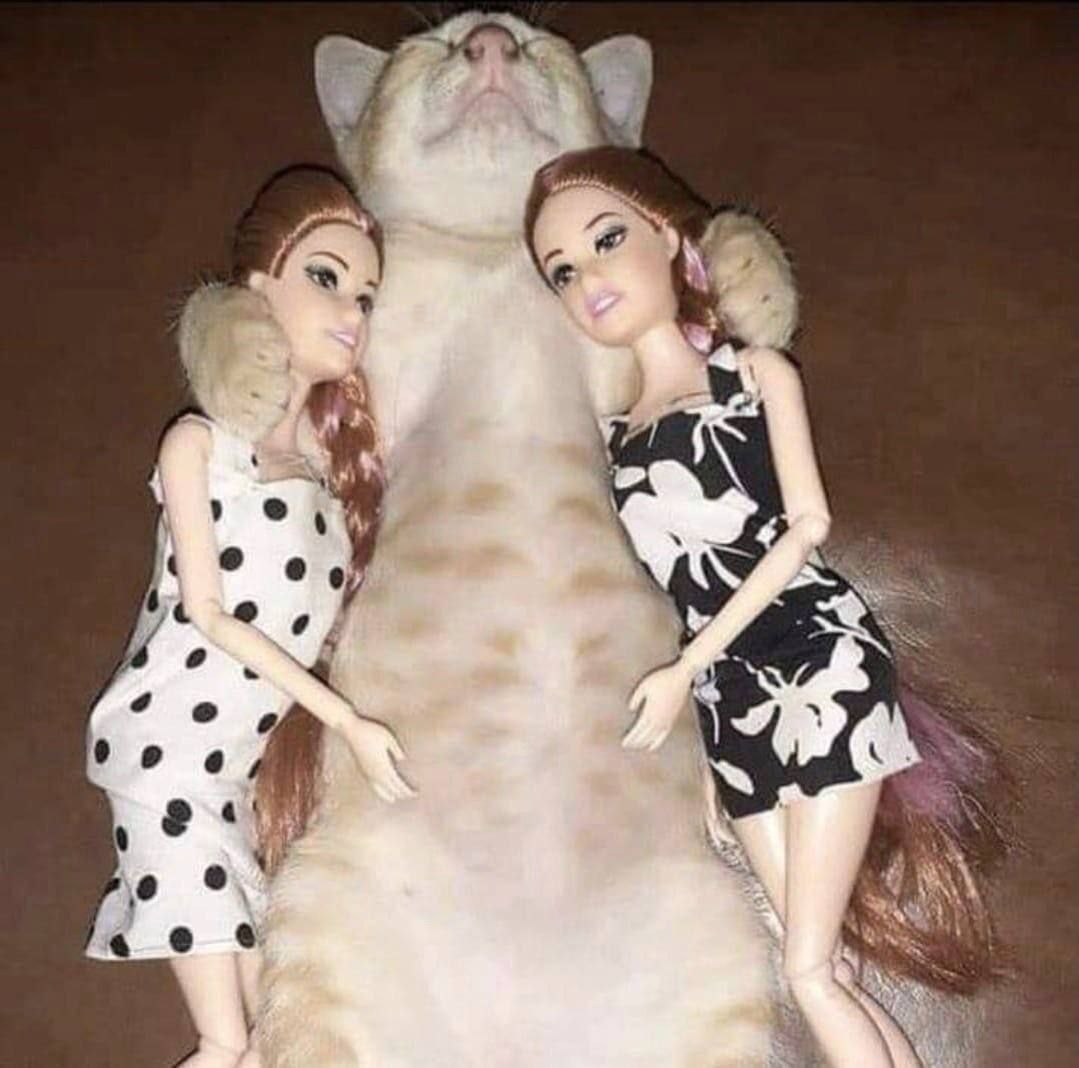 4 4 a К