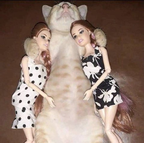 4 4 a К