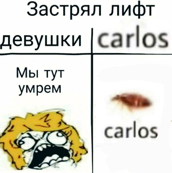 Застрял лифт девушки 10$ Мы тут умрем carlos