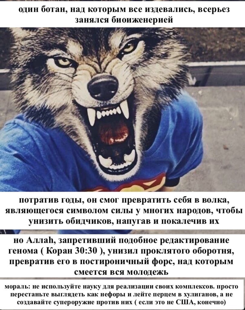 один ботан, над которым все издевались, всерьез занялся биоиженерией 5 я а 4 2 an потратив годы, он смог превратить себя в волка, являющегося символом силы у многих народов, чтобы унизить обидчиков, н