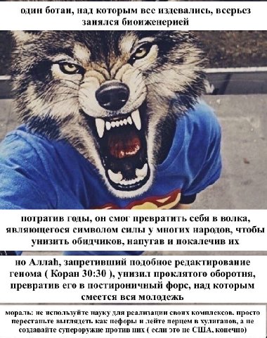 один ботан, над которым все издевались, всерьез занялся биоиженерией 5 я а 4 2 an потратив годы, он смог превратить себя в волка, являющегося символом силы у многих народов, чтобы унизить обидчиков, н