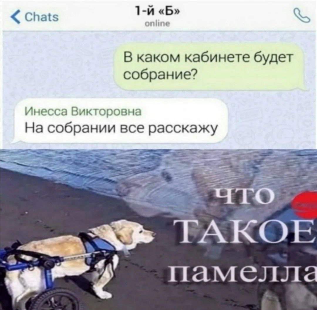 «Б» Chats online В каком кабинете будет собрание? Инесса Викторовна На собрании все расскажу 4TO ТАКОЕ