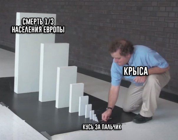 В смерть 1/3 НАСЕЛЕНИЯ ЕВРОПЫ КРЫСА КУСЬ ЗА ПАЛЬЧИК