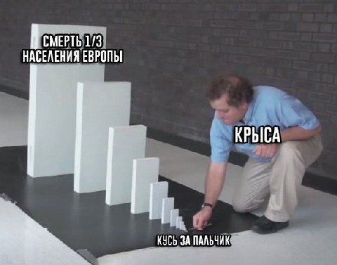 В смерть 1/3 НАСЕЛЕНИЯ ЕВРОПЫ КРЫСА КУСЬ ЗА ПАЛЬЧИК