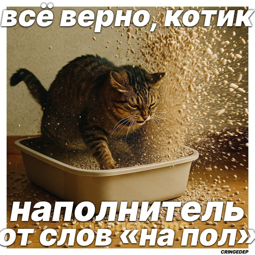 коти все верно; if 27) наполнит СЛОВ