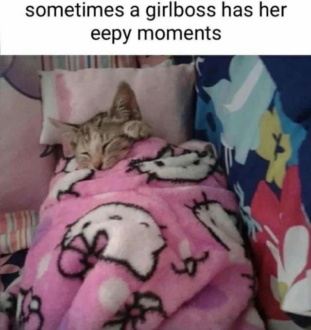 this is so much me right now