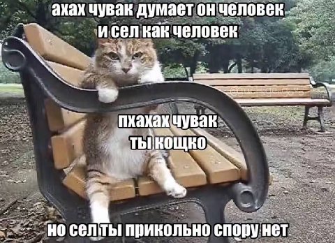 awe ахах чувак думает( он человек селкак ‘человек a? we ЗА he. пхахакчува прикольно спору He]