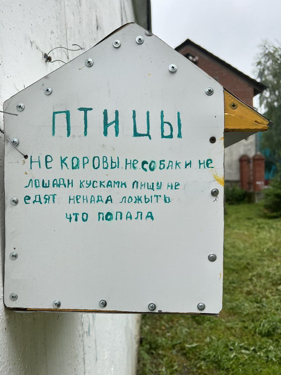 HE КОРОВЫ не 9 CART HEHARA ЧТО ПОПАЛА