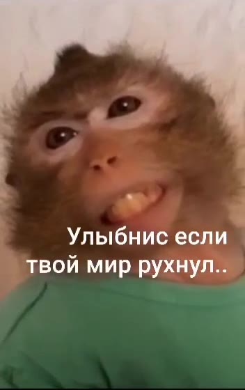 каждый в этом чате знает что значит фраза улыбнись