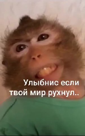 каждый в этом чате знает что значит фраза улыбнись