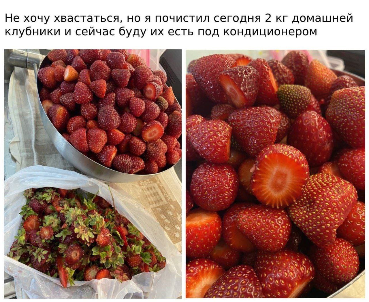 Не хочу хвастаться, но я почистил сегодня 2 домашней клубники и сейчас буду есть под кондиционером we