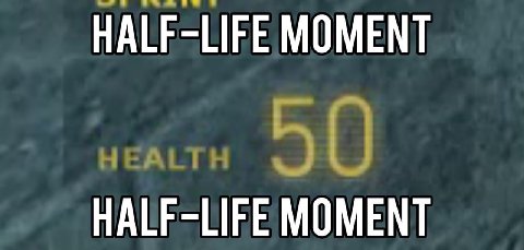 HALF-LIFE MOMENT HALF-LIFE MOMENT