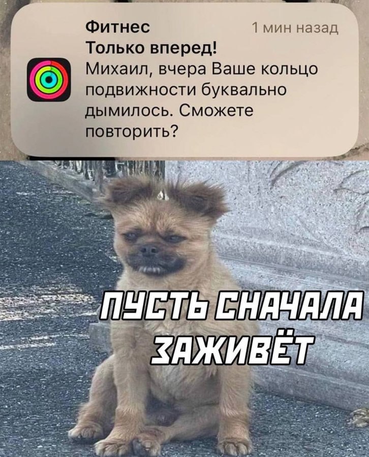 Фитнес 1 мин назад Только вперед! Михаил, вчера Ваше кольцо подвижности буквально дымилось. Сможете fie повторить? EHAYANA ЗАЖИ Era.