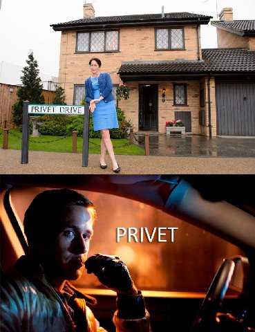 4 PRIVET