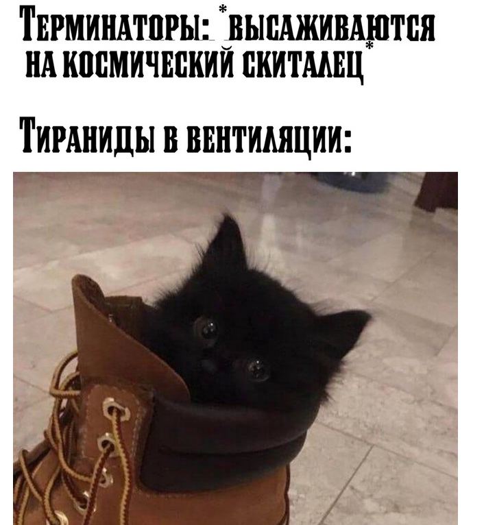 ТЕРМИНАТОРЫ: НА КОСМИЧЕСКИЙ ТИРАНИДЫ В ВЕНТИЛЯЦИИ С А