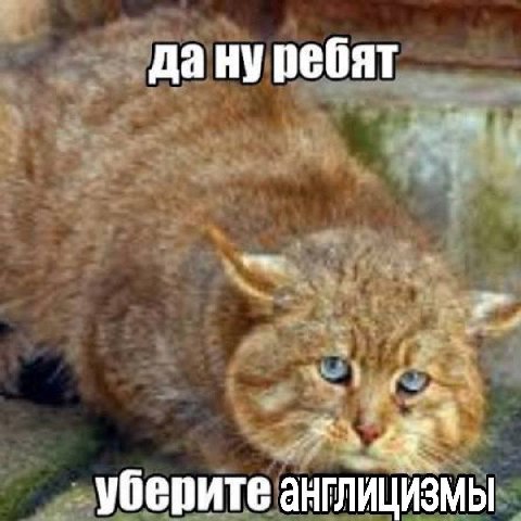 дану ребят уберите АНГЛИЦИЗМЫ