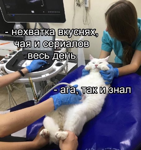 и нехваткайвкуснях сериалов весь день А Ara