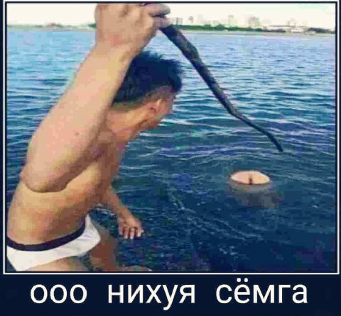 000 нихуя семга