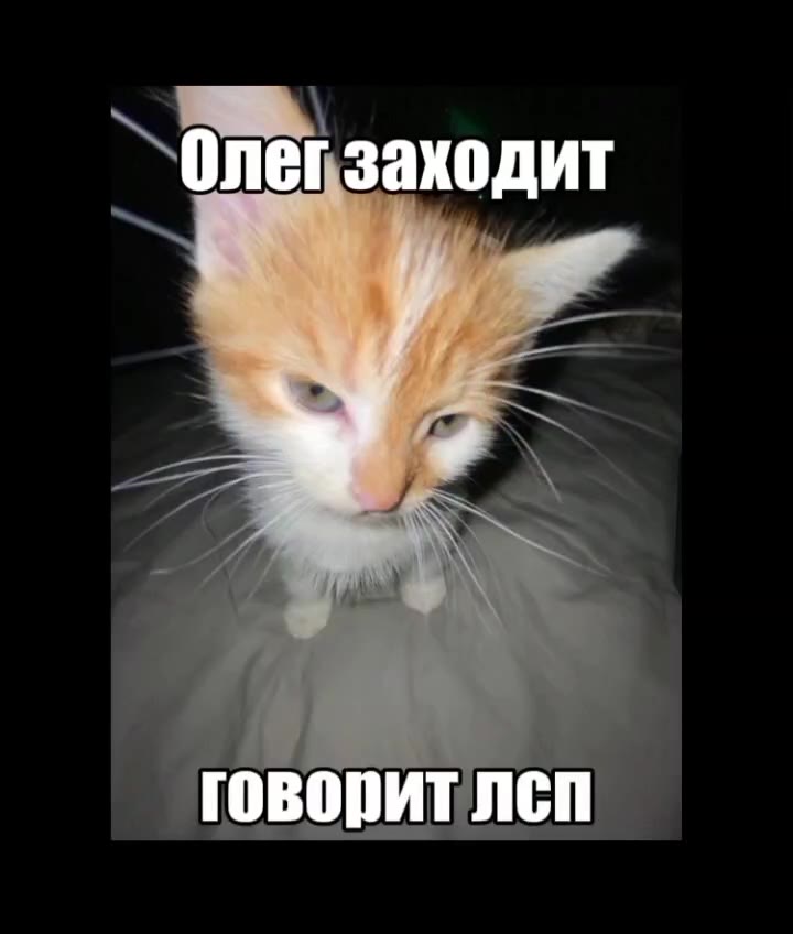 @floweao