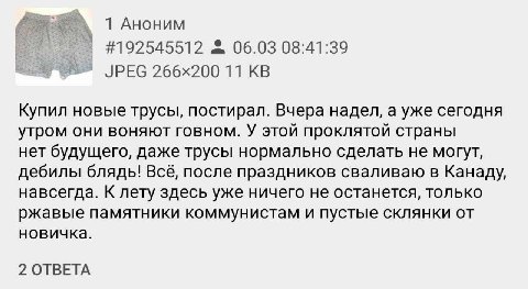 ТАноним #192545512 06.03 08:41:39 JPEG 11 Купил новые трусы, постирал. Вчера надел, а уже сегодня утром они воняют говном. У этой проклятой страны нет будущего, даже трусы нормально сделать не могут, 