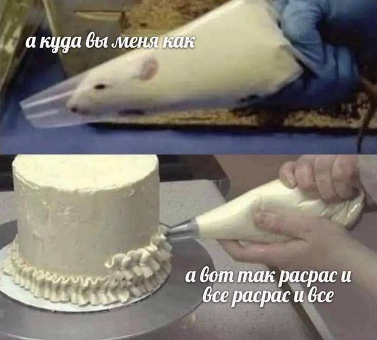 а куда bet меняукак а вот так расрас и Gce расрас и