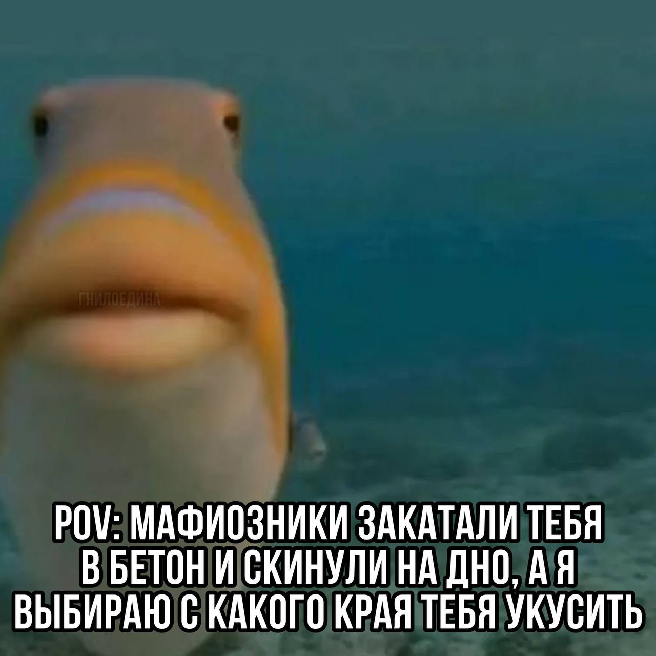 на дне