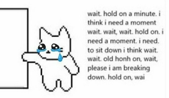 wait. hold on a minute. think i need a moment wait. wait, wait. hold on. i need a moment. need. to sit down think wait. wait. old honh on, wait, please breaking down. hold on, wai