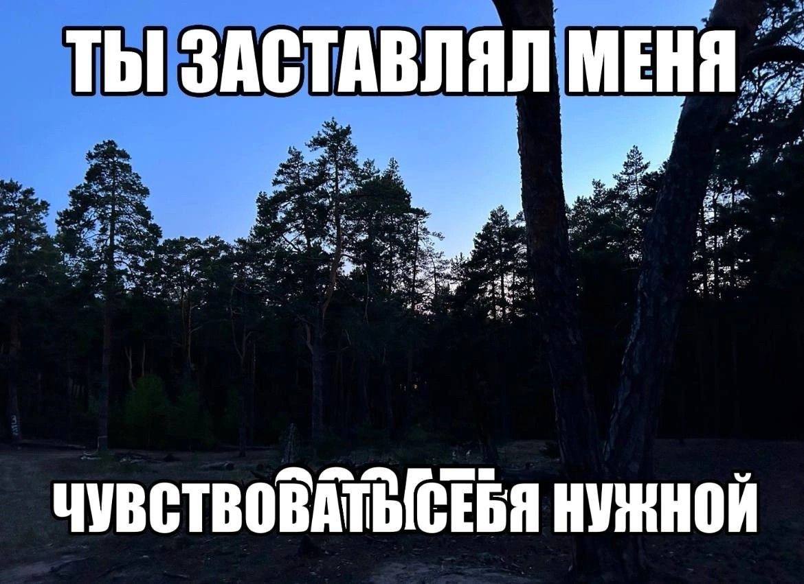 7^ ТЫ ЗАСТАВЛЯЛ МЕНЯ we
