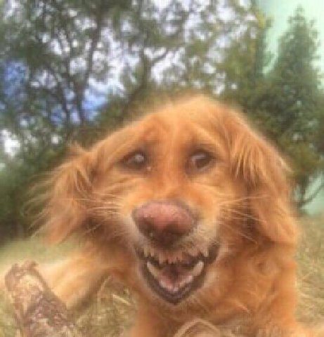 a А