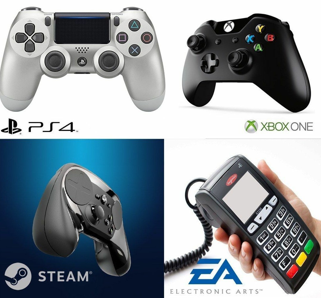 29) STEAM