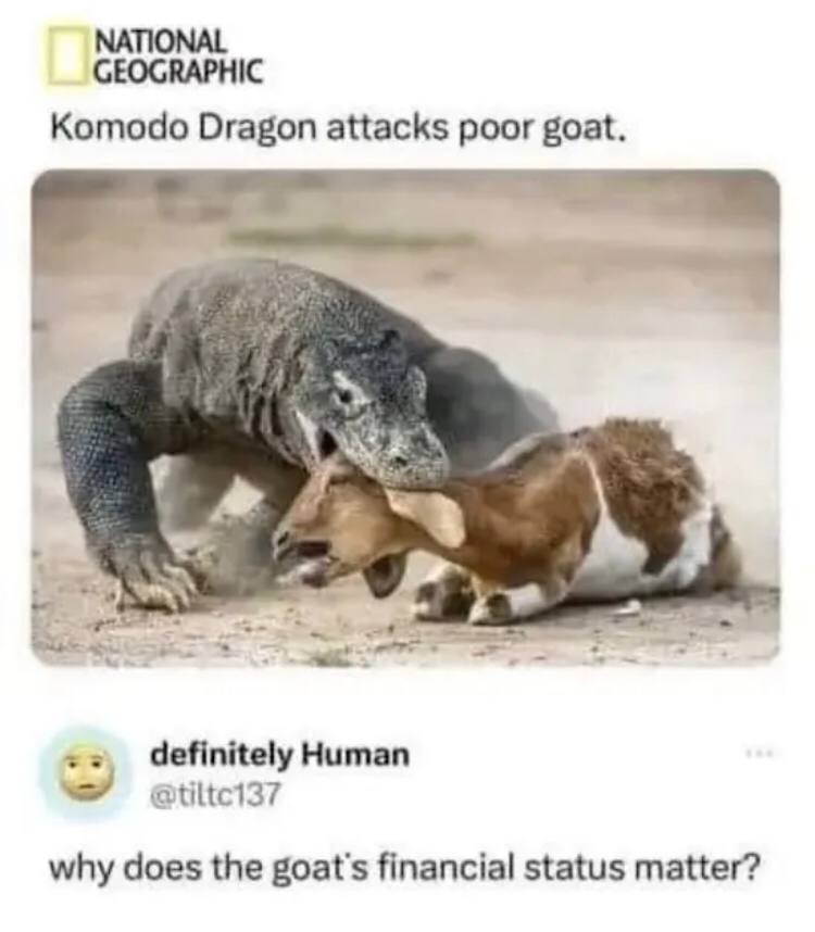 NATIONAL GEOGRAPHIC Komodo Dragon attacks poor goat. 4 definitely Human atiltci37 why does the goat's financial status matter?