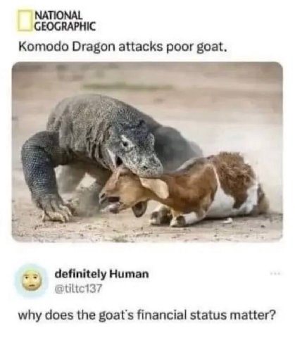 NATIONAL GEOGRAPHIC Komodo Dragon attacks poor goat. 4 definitely Human atiltci37 why does the goat's financial status matter?
