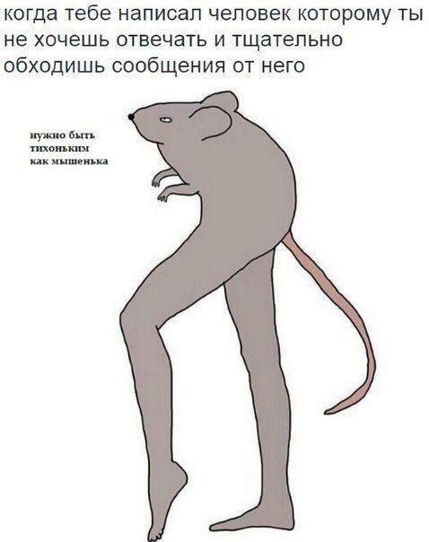 когда тебе написал человек которому ты не хочешь отвечать и тщательно обходишь сообщения от него нужно быть тихоньким как мышенька