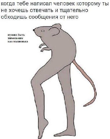 когда тебе написал человек которому ты не хочешь отвечать и тщательно обходишь сообщения от него нужно быть тихоньким как мышенька