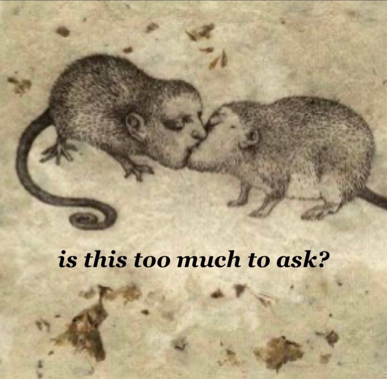 a is this too much to ask? a